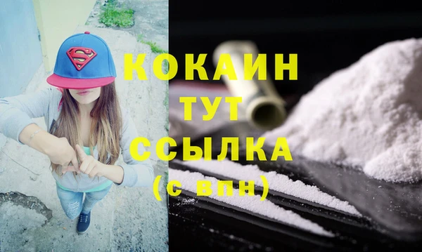 трава Пересвет
