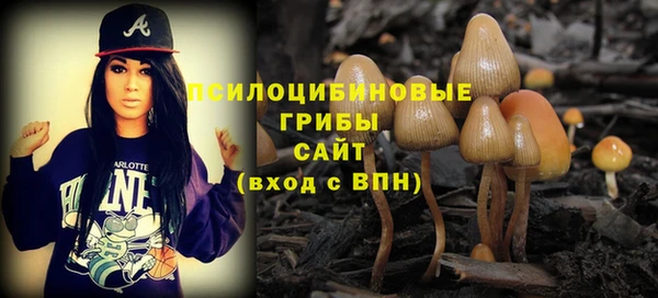 трава Пересвет