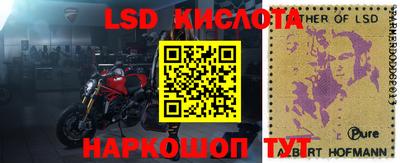 Альфа ПВП Можга
