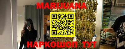 сатива Моздок