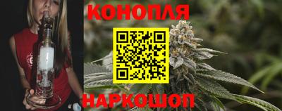 Альфа ПВП Можга