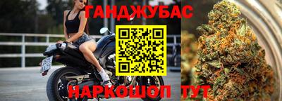 Альфа ПВП Можга