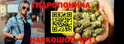 сатива Моздок